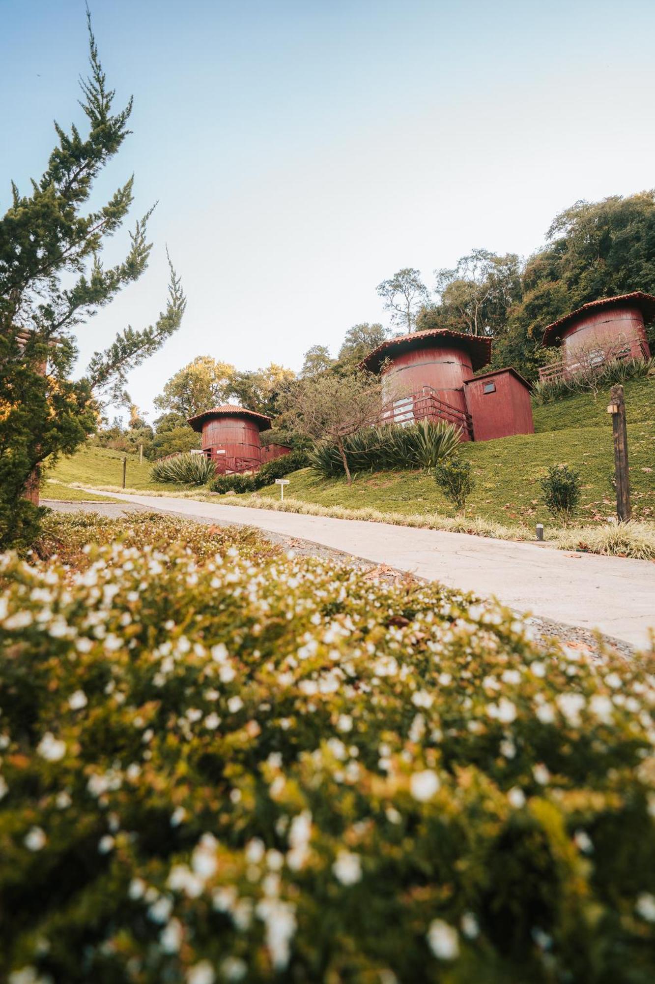 Pipas Do Vale - Vale Dos Vinhedos Hotel Bento Goncalves Ngoại thất bức ảnh